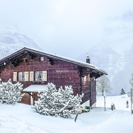 Apartment Chalet Blaugletscher By Interhome Grindelwald Dış mekan fotoğraf